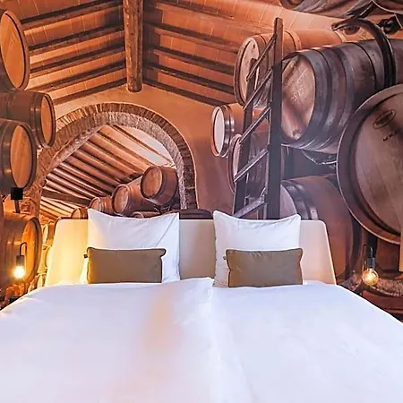 Hotel Dormio Wijnhotel Valkenburg (South Holland)