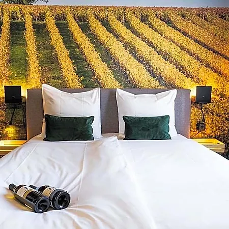 Dormio Wijnhotel 4* Valkenburg (South Holland)
